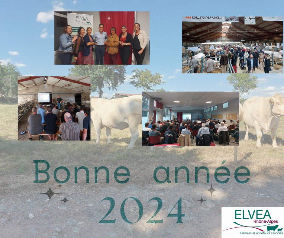 bonne-annee-2024