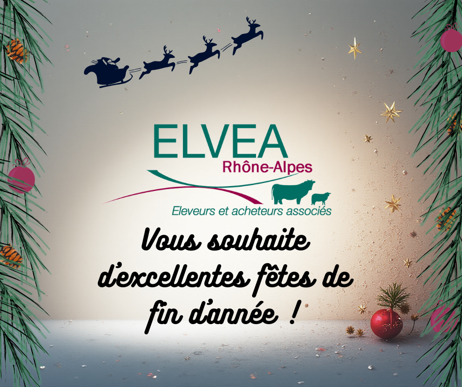 Vous souhaite d’excellentes fêtes de fin d’années ! 2025